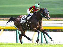 カラープリント(アルミ枠付き)2023年10月14日東京7R 3歳以上2勝クラス(エクセレントタイム)