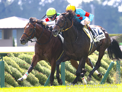 カラーパネル2023年10月15日京都5R 2歳新馬(エルサビオ)