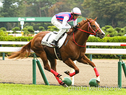 カラーパネル2023年10月15日新潟1R 2歳未勝利(ジャスパーノワール)