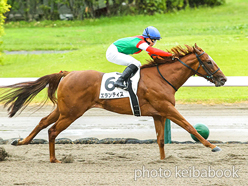 カラープリント(アルミ枠なし)2023年10月21日新潟8R 3歳以上1勝クラス(エランティス)