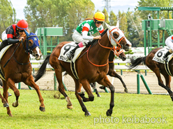 カラーパネル2023年10月22日新潟2R 2歳未勝利(ポエットリー)