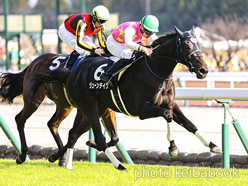 カラーパネル2023年12月3日中京8R こうやまき賞(ジューンテイク)