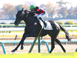 カラープリント(アルミ枠付き)2023年12月3日中山5R 2歳新馬(クリスマスパレード)