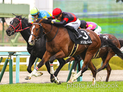 カラープリント(アルミ枠なし)2023年12月9日阪神9R エリカ賞(メリオーレム)