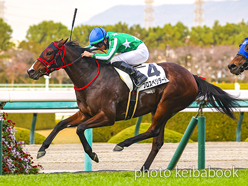 カラープリント(アルミ枠なし)2023年12月9日阪神12R 3歳以上2勝クラス(プロスペリダード)