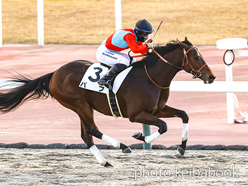 カラーパネル2023年12月17日中京1R 2歳未勝利(パフ)