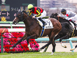 カラーパネル2023年12月24日中山3R 2歳未勝利(キングズブレス)