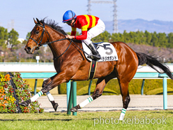 カラーパネル2023年12月28日阪神5R 2歳新馬(ベラジオボンド)