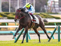 カラープリント(アルミ枠付き)2024年1月7日中山5R 3歳未勝利(シャインズオンユー)