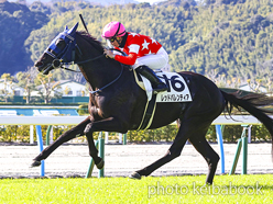 カラープリント(アルミ枠付き)2024年1月13日小倉8R 4歳以上1勝クラス(レッドバレンティア)