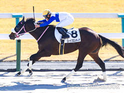 カラープリント(アルミ枠なし)2024年1月14日京都4R 3歳1勝クラス(ロードフロンティア)