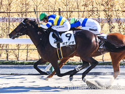 カラープリント(アルミ枠付き)2024年1月14日京都8R 4歳以上2勝クラス(ボナンザ)