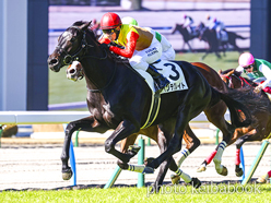 カラーパネル2024年1月14日小倉5R 3歳新馬(インテグレイト)