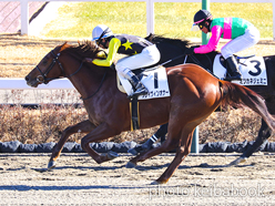 カラーパネル2024年1月14日中山4R 3歳新馬(クレイヴィンオナー)