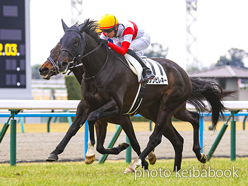 カラープリント(アルミ枠付き)2024年1月20日京都5R 3歳新馬(ダノンピレネー)