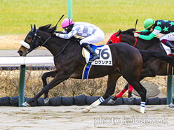 カラープリント(アルミ枠なし)2024年1月20日中山2R 3歳未勝利(ロクシアス)