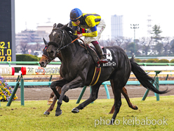 カラープリント(アルミ枠付き)2024年1月21日中山9R 若竹賞(ルカランフィースト)