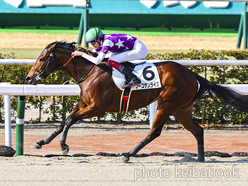 カラーパネル2024年1月27日小倉3R 3歳未勝利(フーコサンライズ)