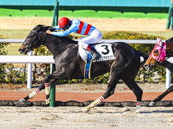 カラープリント(アルミ枠なし)2024年1月28日小倉1R 3歳未勝利(ヤマニンアラクリア)