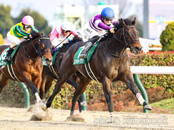 カラープリント(アルミ枠付き)2024年1月28日東京11R 根岸S(エンペラーワケア)