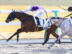 カラーパネル2024年2月4日京都1R 3歳未勝利(グレイトフルペイン)