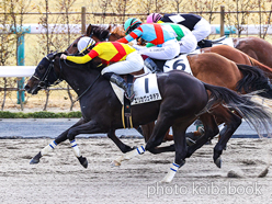 カラープリント(アルミ枠付き)2024年2月4日京都3R 3歳未勝利(エリカヴェネチア)