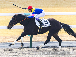 カラーパネル2024年2月10日京都1R 3歳未勝利(サウンドアレグリア)