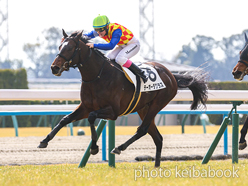 カラーパネル2024年2月10日京都5R 3歳未勝利(テーオーダグラス)