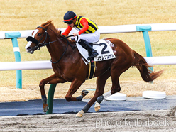 カラープリント(アルミ枠なし)2024年2月11日京都4R 3歳1勝クラス(フラムリンガム)