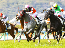 カラーパネル2024年2月11日小倉5R 3歳未勝利(ゴールドブレス)