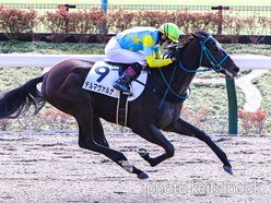 カラープリント(アルミ枠付き)2024年2月11日東京4R 3歳新馬(デルマヴァルナ)