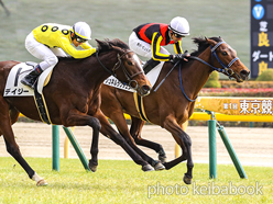 カラーパネル2024年2月17日東京6R 3歳未勝利(シュネルラウフェン)