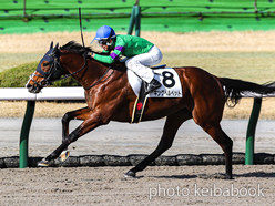 カラープリント(アルミ枠なし)2024年2月24日小倉1R 3歳未勝利(キングベルベット)