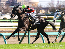 カラープリント(アルミ枠なし)2024年2月24日中山9R 水仙賞(クリスマスパレード)