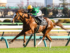 カラープリント(アルミ枠なし)2024年2月24日中山10R 富里特別(インスタキング)