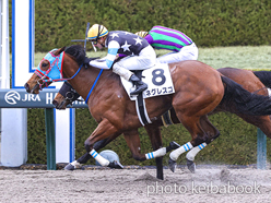 カラープリント(アルミ枠なし)2024年2月25日阪神5R 3歳1勝クラス(ネグレスコ)