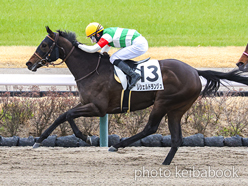 カラーパネル2024年3月2日中山4R 3歳未勝利(レシェルドランジュ)