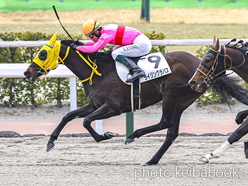 カラープリント(アルミ枠なし)2024年3月3日小倉8R 4歳以上1勝クラス(ライジングラパス)