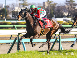 カラープリント(アルミ枠なし)2024年3月3日中山11R 弥生賞ディープ記念(コスモキュランダ)