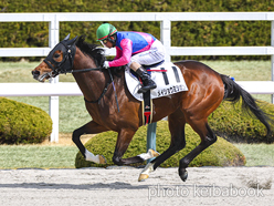 カラープリント(アルミ枠付き)2024年3月9日阪神3R 3歳未勝利(メイショウミシガン)