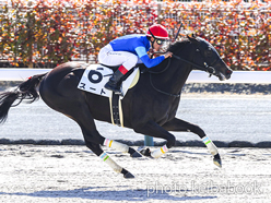 カラープリント(アルミ枠なし)2024年3月9日中京1R 3歳未勝利(スート)