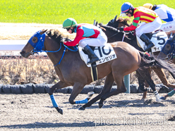 カラーパネル2024年3月9日中山1R 3歳未勝利(エンセリオ)