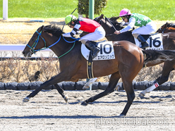 日本最大の イクイノックス 競馬ブック アルミ枠製カラープリント 他 