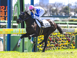 カラープリント(アルミ枠なし)2024年3月10日中山5R 3歳未勝利(ロードアフェット)