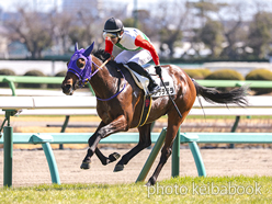 日本最大の イクイノックス 競馬ブック アルミ枠製カラープリント 他 