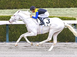 カラープリント(アルミ枠付き)2024年3月17日阪神2R 3歳未勝利(カルパ)