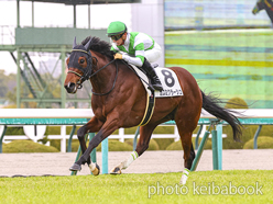 カラーパネル2024年3月17日阪神5R 3歳未勝利(カズミクラーシュ)