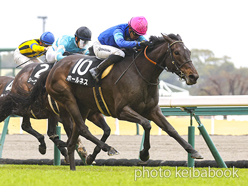 カラープリント(アルミ枠なし)2024年3月23日中京10R 熊野特別(ホールネス)