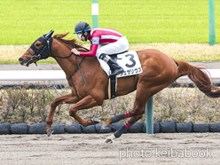 カラープリント(アルミ枠付き)2024年4月6日中山2R 3歳未勝利(ヴェサリウス)