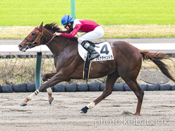 カラープリント(アルミ枠なし)2024年4月6日中山3R 3歳未勝利(プルナチャンドラ)